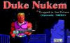 Duke Nukem - Shrapnel City download