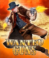 Wanted Guns download