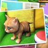 Kitty Luv download