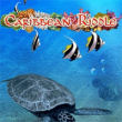 Caribbean Riddle download