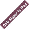 DVD Ripper To iPod  download