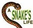 A Snakes Life download