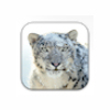 Apple Mac OS X Snow Leopard for Mac download