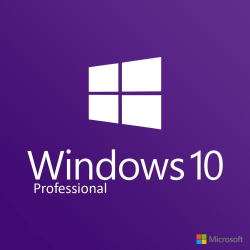 Windows 10 Professional download