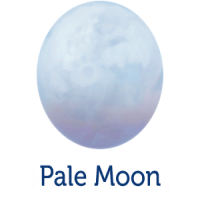 Pale Moon download