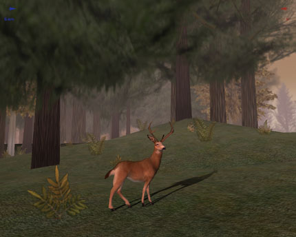 deer hunter 5 tracking trophies downloads